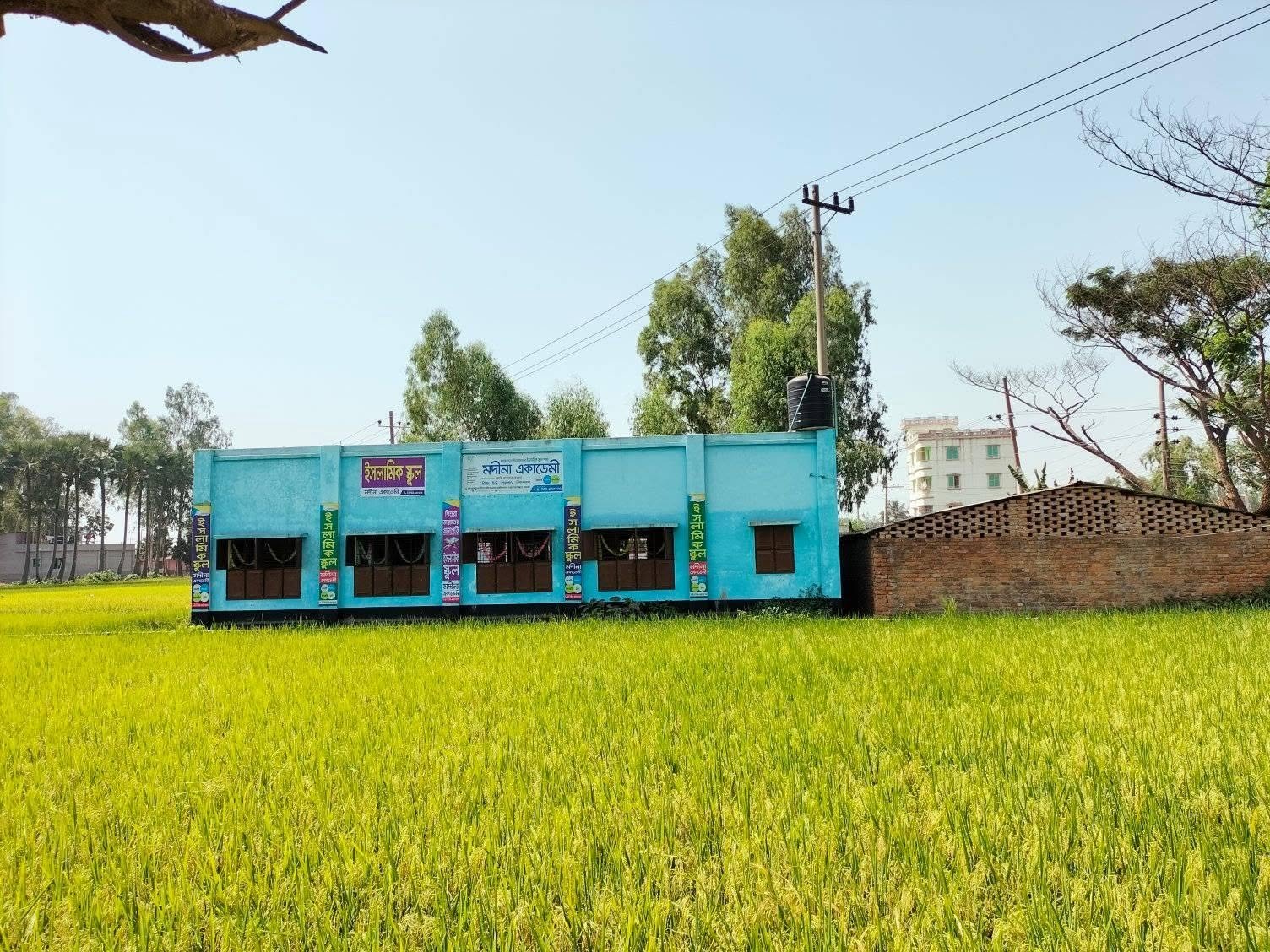 মদীনা মডেল স্কুল বগুড়া